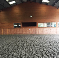 Facilities & Arena Hire