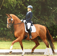 Dressage Competitions