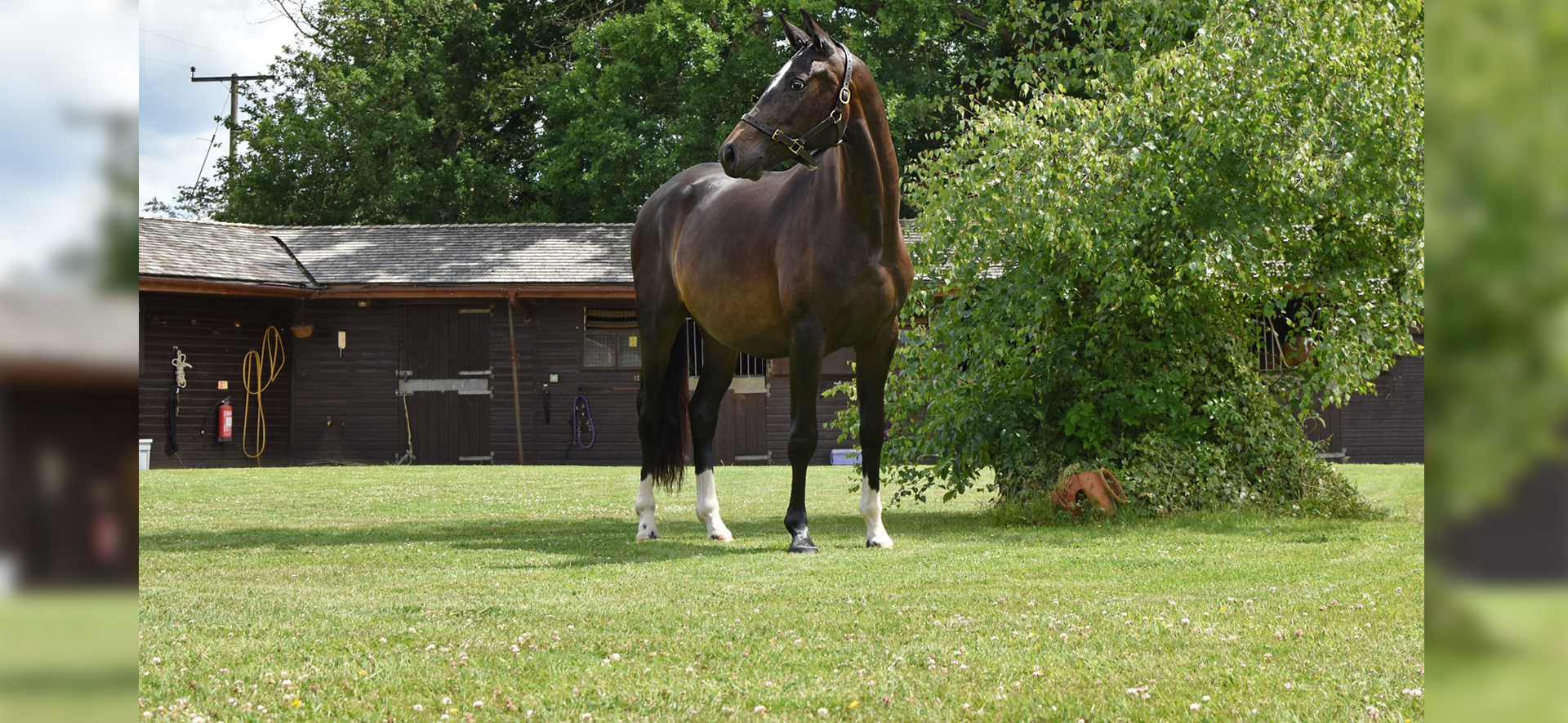 Welcome to Fairoak Grange