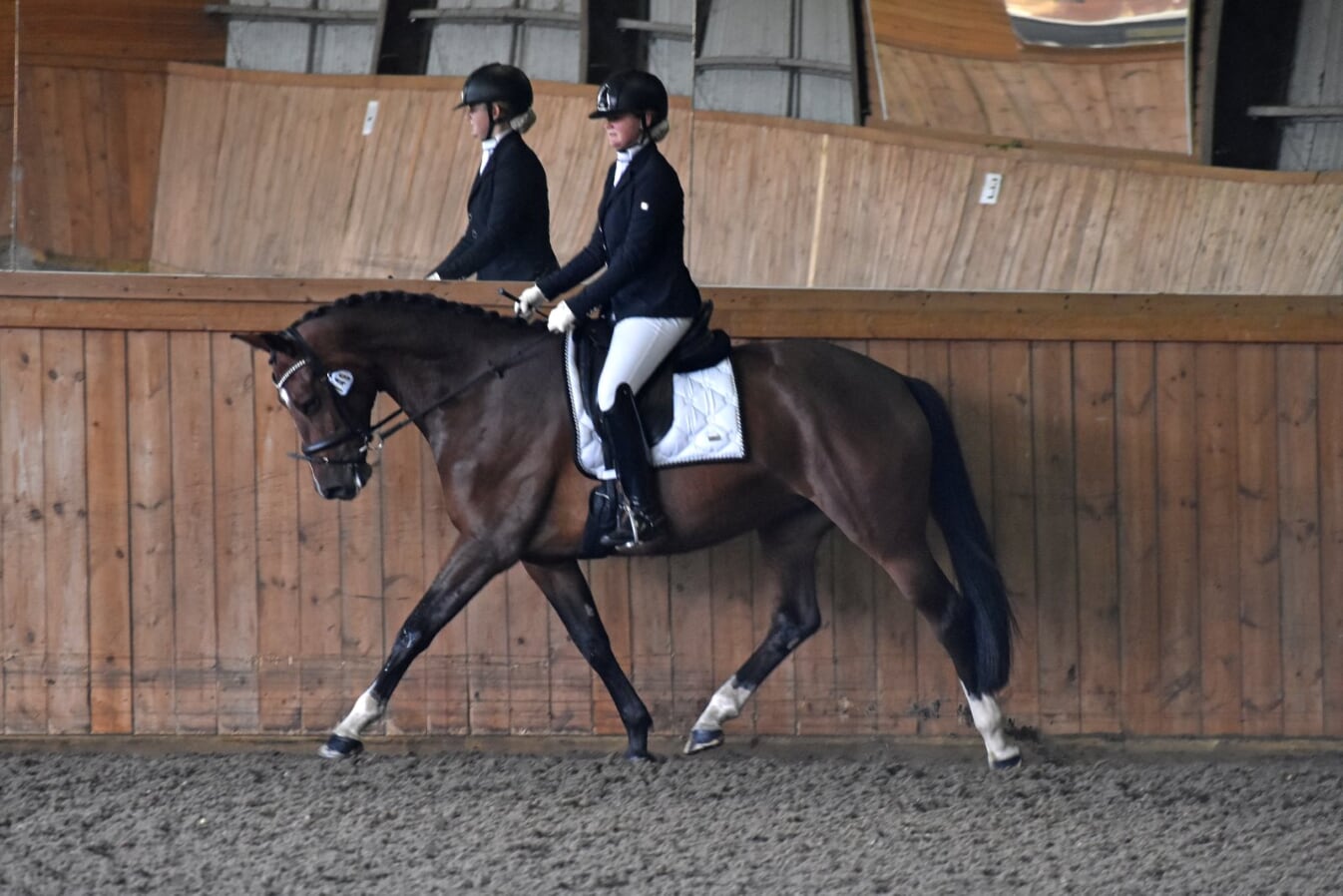jessie trot