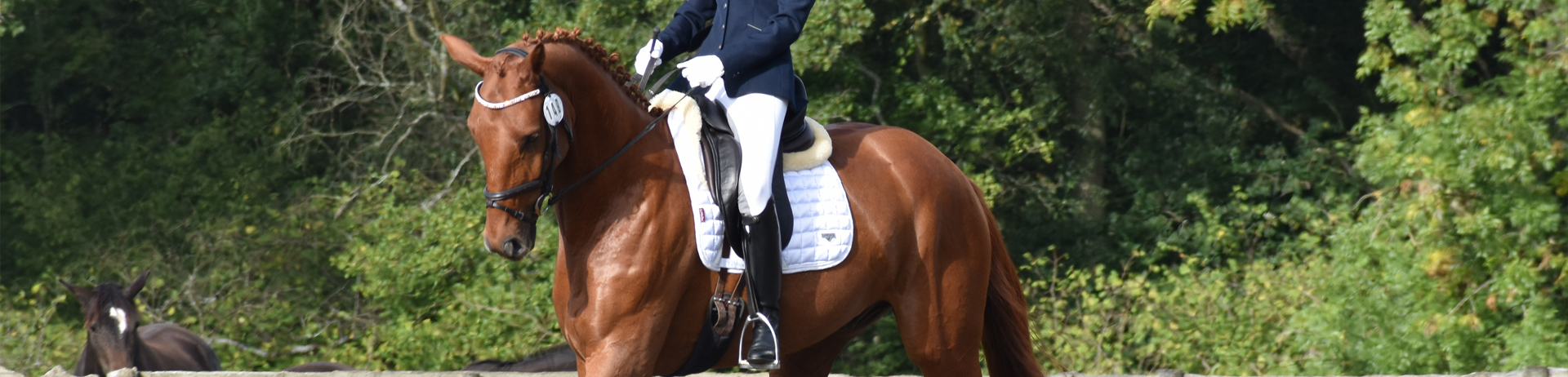Schooling