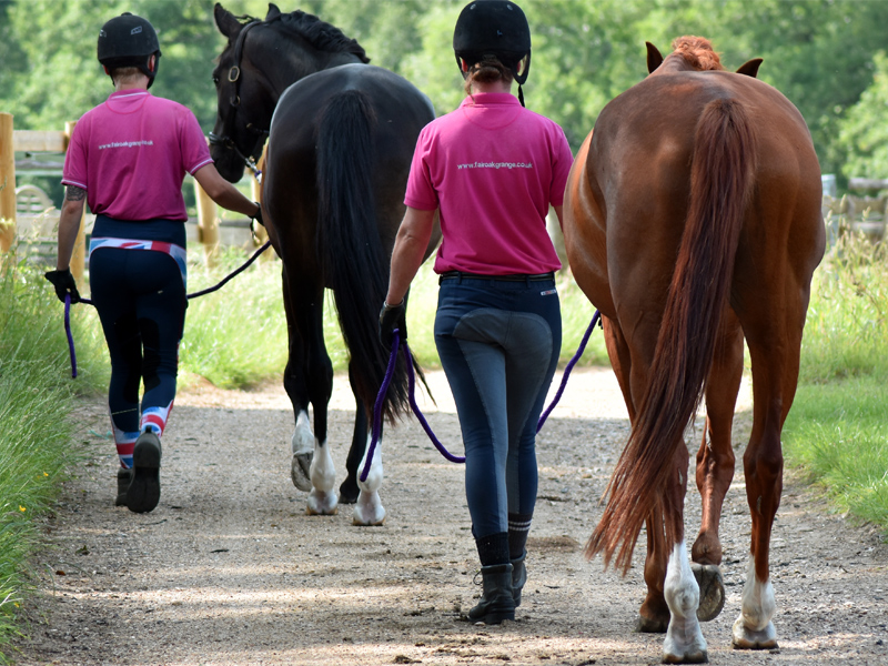 leading horses