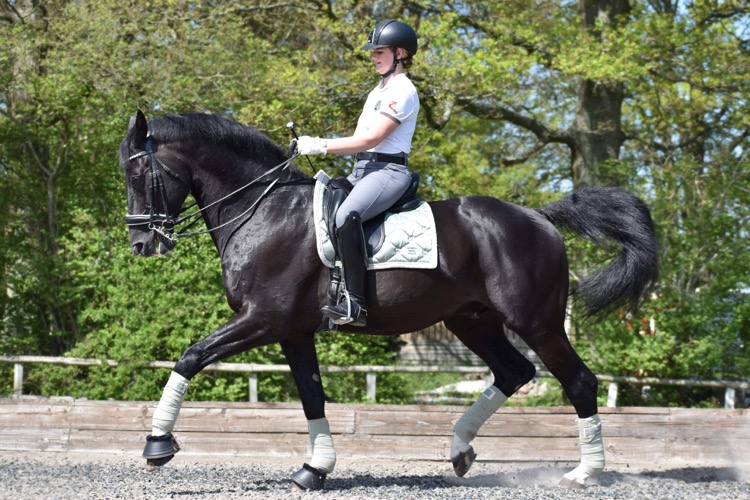 Melissa Dawes gains International qualifying score at Inter I at Bury Farm High Profile show